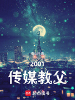 小说《2001传媒教父》封面