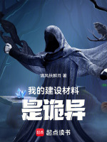 小说《我的建设材料是诡异》封面