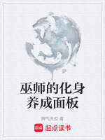 小说《巫师的化身养成面板》封面