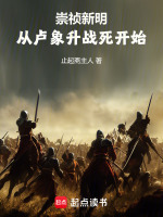 小说《崇祯新明：从卢象升战死开始》封面