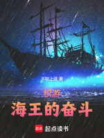 小说《权游：海王的奋斗》封面