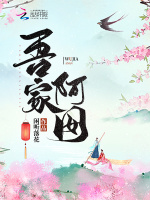 小说《吾家阿囡》封面