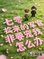 小说《七零：捡来的军官非要宠我怎么办》封面