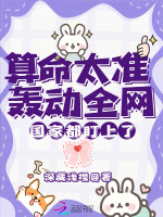 小说《算命太准轰动全网，国家都盯上了》封面