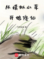 小说《从模拟小草开始修仙》封面