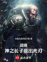 小说《战锤：圣堂武士亮出光刃》封面