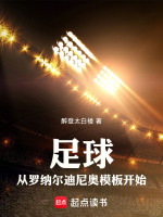 小说《足球：从罗纳尔迪尼奥模板开始》封面