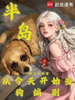 小说《半岛：从今天开始当狗编剧》封面