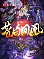 小说《战锤40K：苍白凤凰》封面