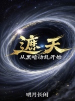 小说《遮天：从黑暗动乱开始》封面