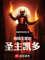 小说《海贼王里的圣主凯多》封面