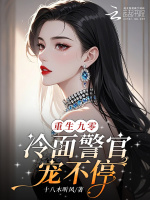 小说《重生九零，冷面警官宠不停》封面