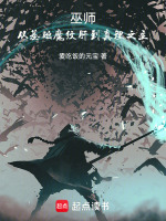 小说《巫师，从基础魔纹肝到真理之主》封面