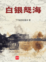 小说《白银怒海》封面