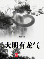 小说《大明有龙气》封面