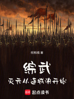 小说《综武：灭元从连城诀开始》封面