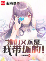 小说《她们又不是我带坏的！》封面