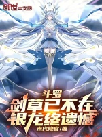 小说《斗罗：剑草已不在，银龙终遗憾》封面