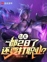 小说《LOL：都28了，还要打职业？》封面