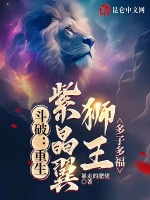 小说《斗破：重生紫晶翼狮王，多子多福》封面