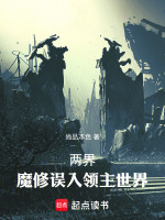 小说《两界：魔修误入领主世界》封面