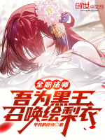 小说《全职法师：继承黑王，拯救绘梨衣》封面