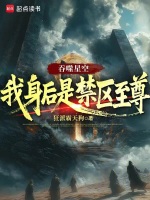 小说《吞噬星空：我身后是禁区至尊》封面