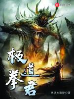 小说《极道拳君》封面