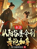 小说《水浒：从阳谷县令到黄袍加身》封面