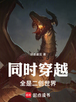 小说《同时穿越：全是二创世界》封面