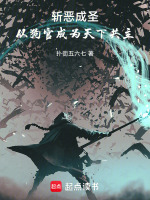 小说《斩恶成圣：从狗官成为天下共主》封面