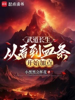 小说《从看到血条开始加点》封面