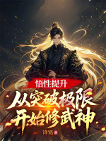 小说《悟性提升：从突破极限开始修武神》封面