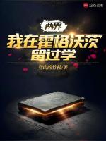 小说《两界：我在霍格沃茨留过学》封面