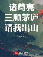 小说《诸葛亮三顾茅庐请我出山》封面