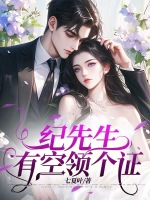 小说《纪先生，有空领个证》封面