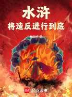 小说《水浒：将造反进行到底》封面