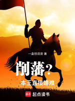 小说《削藩？本王直接靖难！》封面