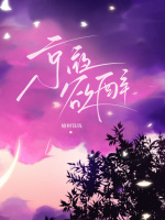 小说《京夜欲醉》封面