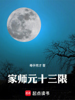 小说《家师元十三限》封面