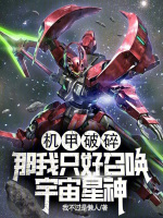 小说《机甲破碎？那我只好召唤宇宙星神》封面