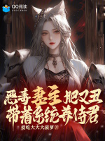 小说《恶毒妻主肥又丑，带着系统养侍君》封面