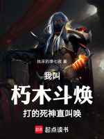 小说《我叫朽木贵族，打的死神直叫唤！》封面