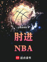 小说《肘进NBA》封面