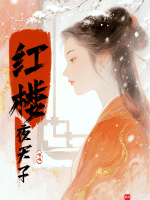 小说《红楼：夜天子》封面