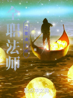 小说《全职法师之普通法师》封面