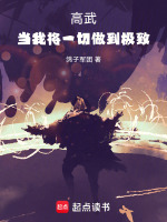 小说《高武：当我将一切做到极致！》封面