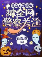 小说《算命太准爆火，被全网警察关注》封面