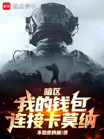 小说《暗区：我的钱包连接卡莫纳》封面