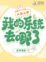 小说《人在斗罗，我的系统去哪了？》封面